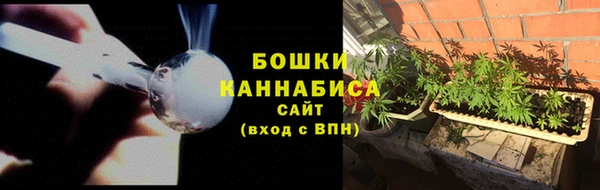крисы Магас