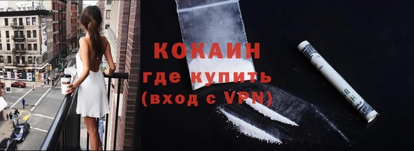 гидра Абаза