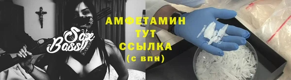 гидра Абаза