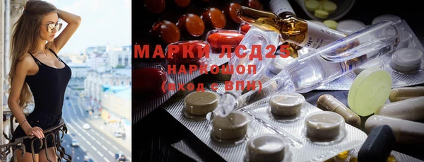 крисы Магас