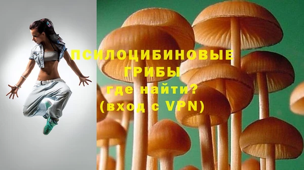 меф Майский