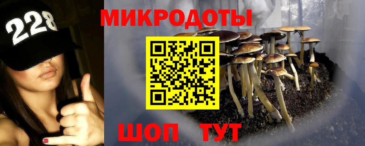 купить наркотики цена  Псилоцибиновые грибы прущие грибы  Вход с VPN  Новокузнецк  Галлюциногенные грибы Magic Shrooms 